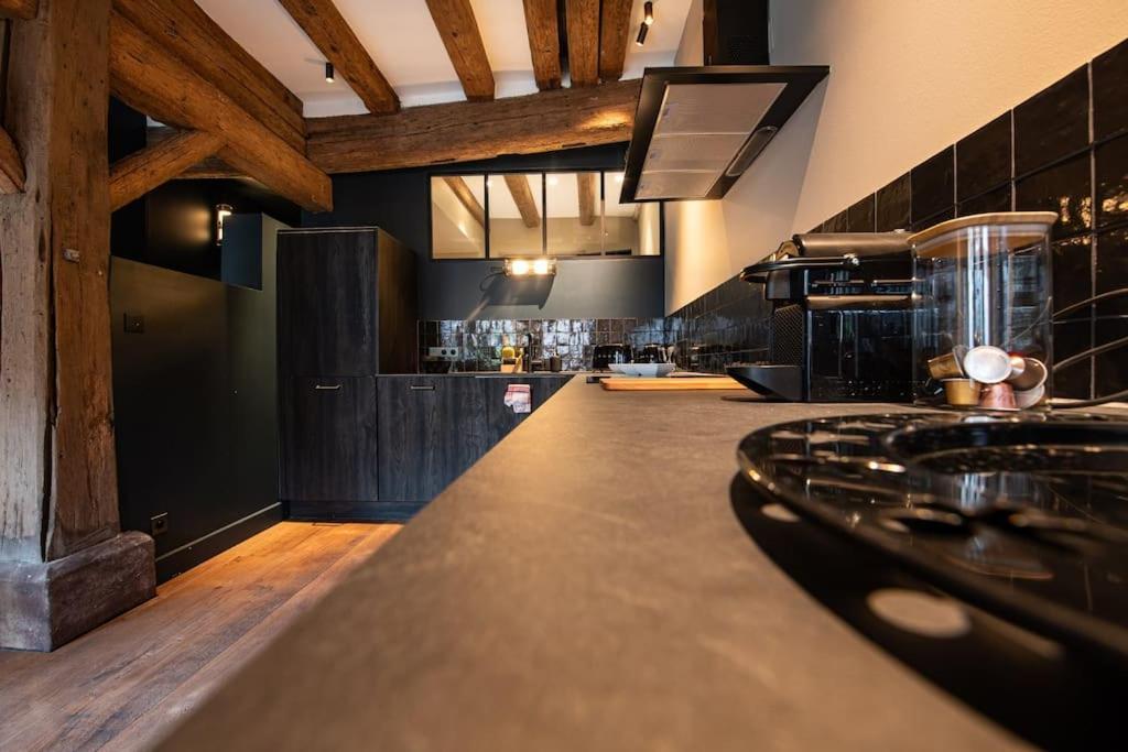La Maison De L'Eclusier Διαμέρισμα Στρασβούργο Εξωτερικό φωτογραφία